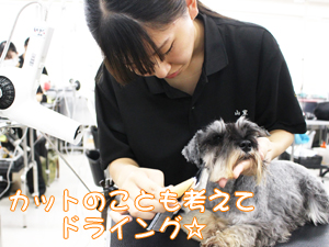 １年生、カットもがんばっています！